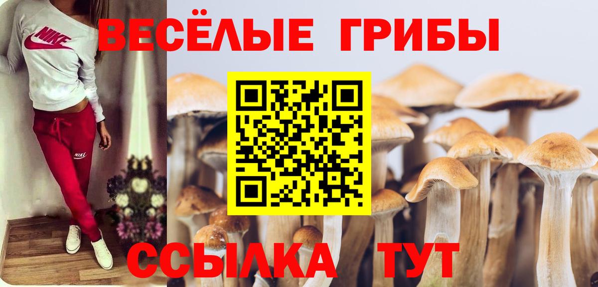 Видное  Галлюциногенные грибы прущие грибы  Вход с VPN 