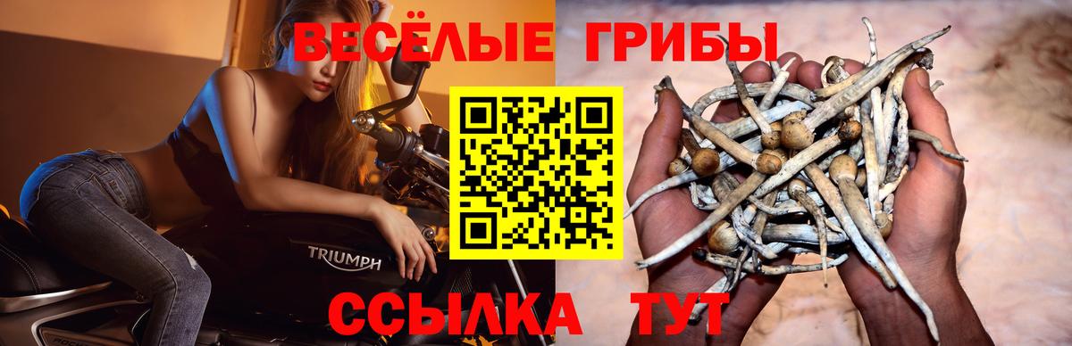 Галлюциногенные грибы мицелий Видное