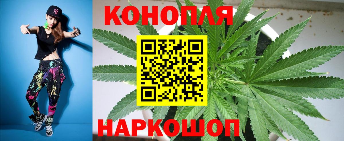 Видное  Шишки марихуана тримм  Канабис конопля  Бошки марихуана конопля  Каннабис планчик  Вход с VPN 